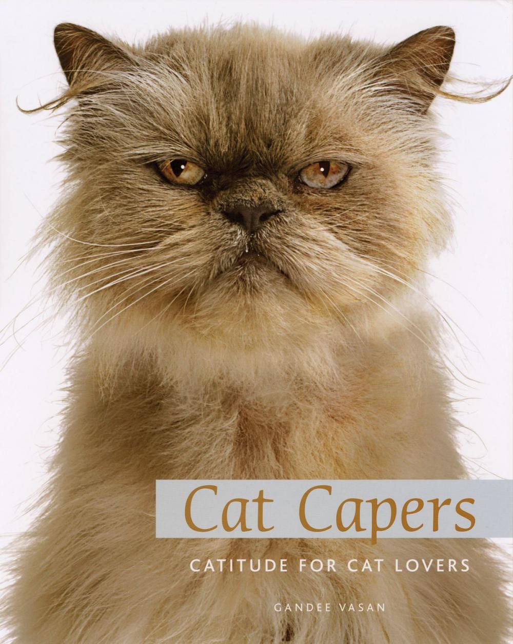 Big bigCover of Cat Capers