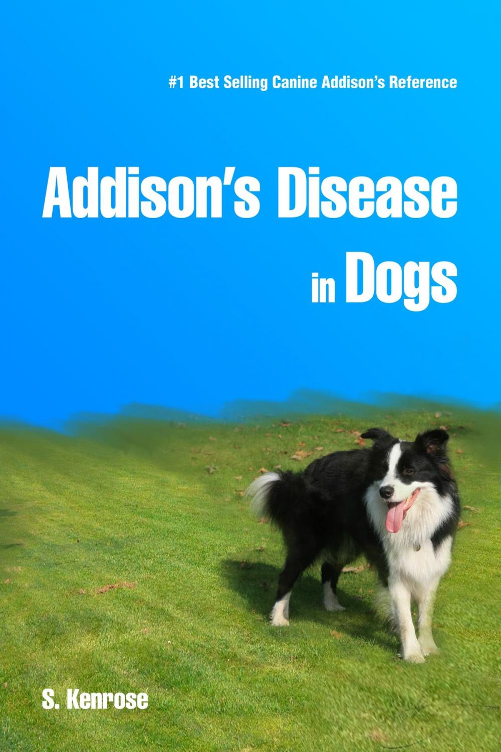 Big bigCover of Addison's Disease in Dogs