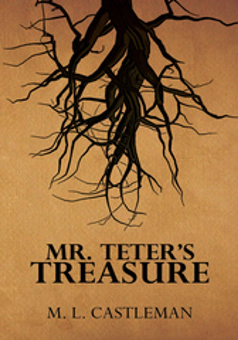 Big bigCover of Mr. Teter’S Treasure
