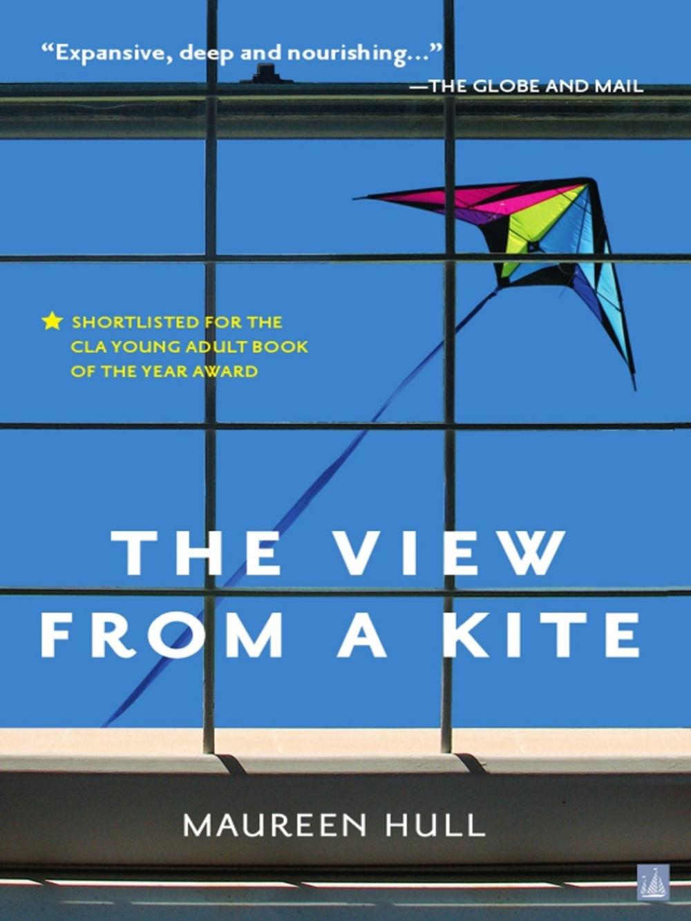 Big bigCover of The View from a Kite