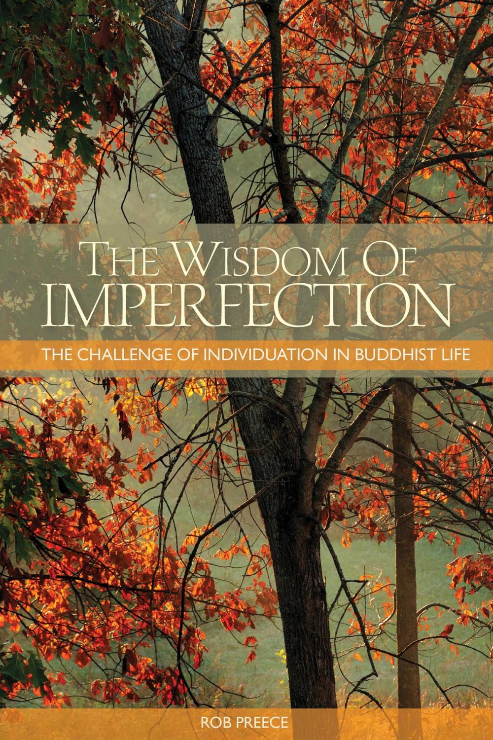 Big bigCover of The Wisdom of Imperfection