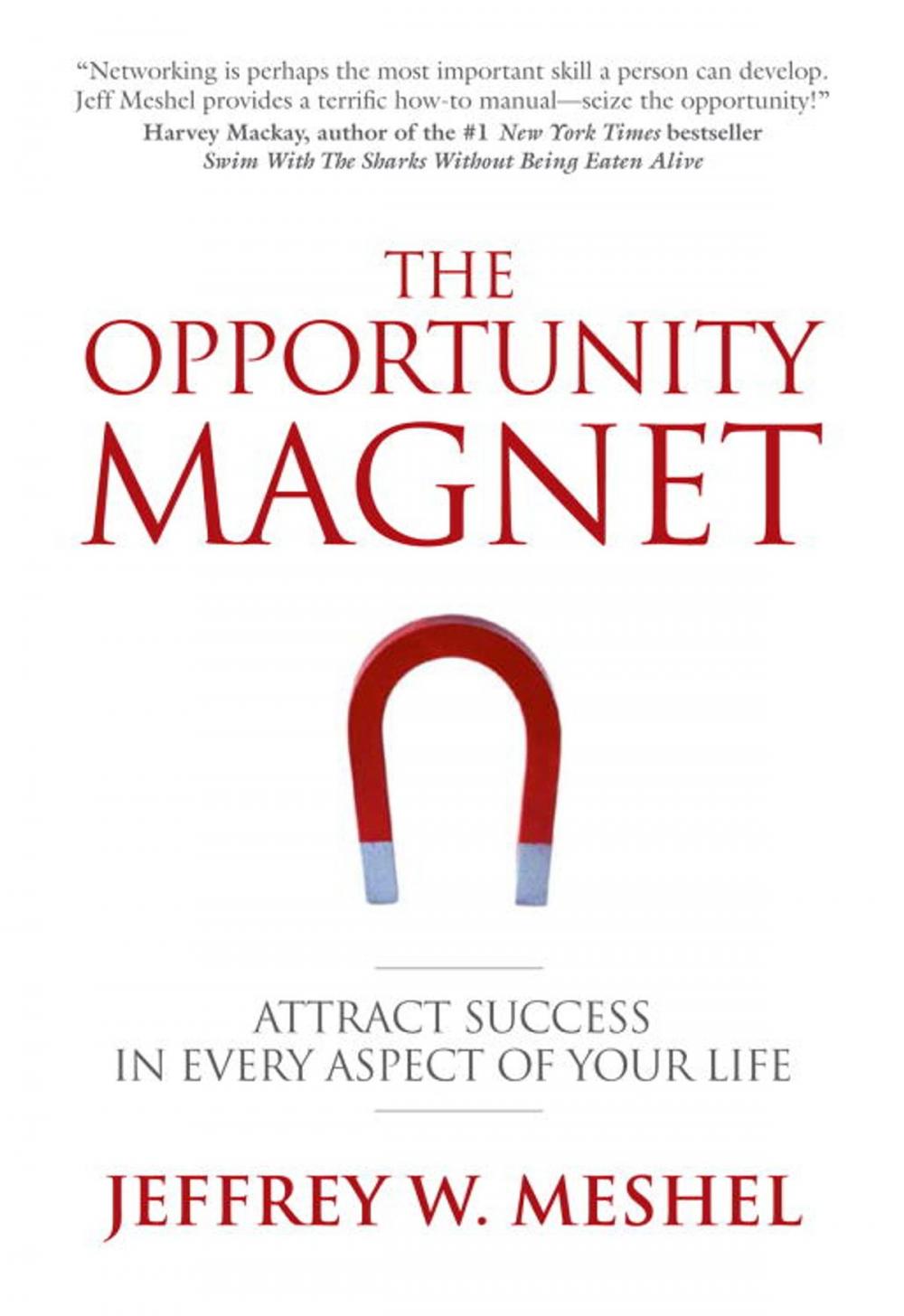 Big bigCover of The Opportunity Magnet