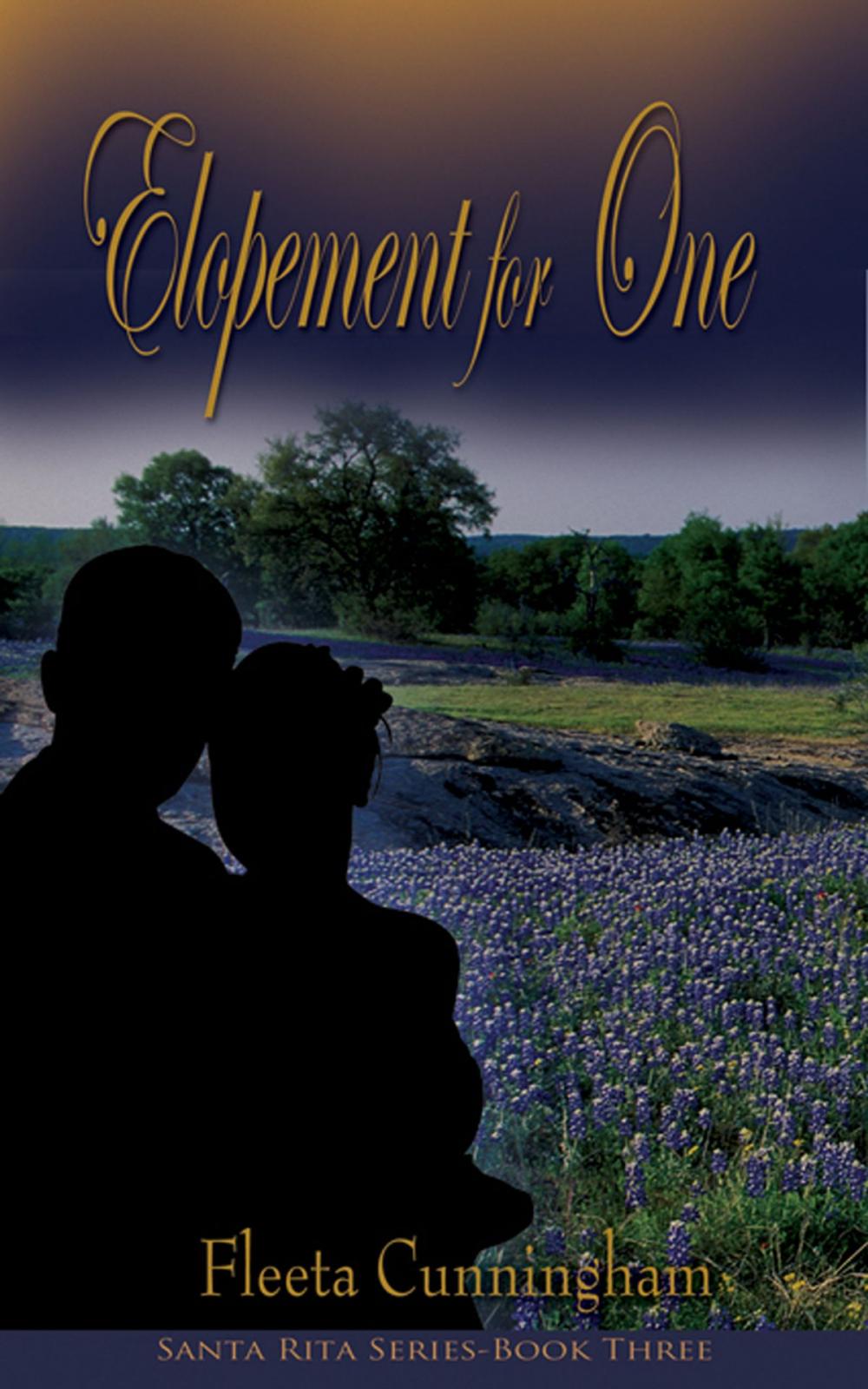 Big bigCover of Elopement for One