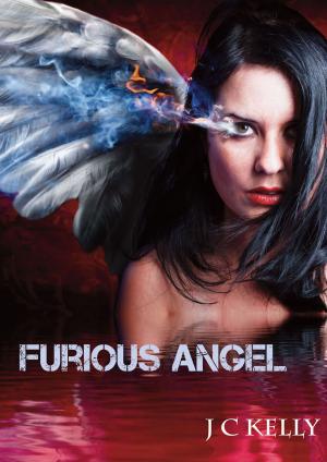 Cover of the book Furious Angel by Charles G. Irion, Ronald J. Watkins