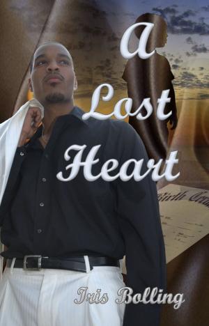 Book cover of A Lost Heart