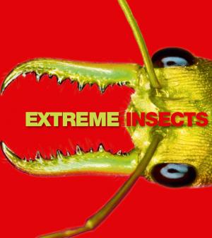 Cover of the book Extreme Insects by Raven McAllan