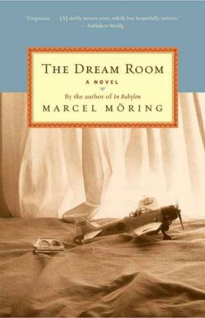 Cover of the book The Dream Room by Julianne MacLean