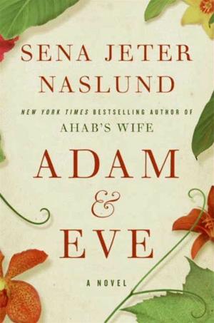 Book cover of Adam &amp; Eve