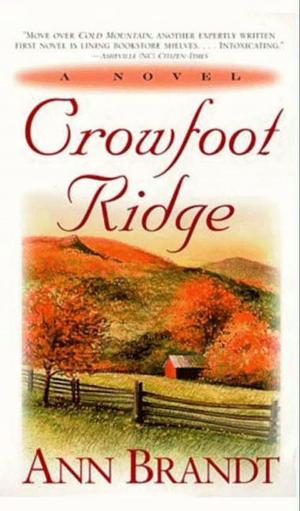 Cover of the book Crowfoot Ridge by Judi McCoy