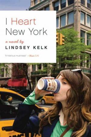 Cover of the book I Heart New York by James Champy