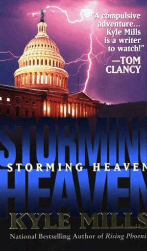 Cover of the book Storming Heaven by Sari Robins