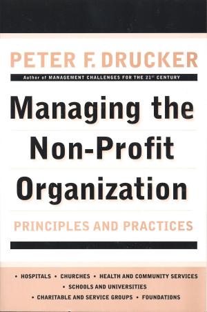 Cover of the book Managing the Non-Profit Organization by Tim Green