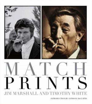 Cover of the book Match Prints by Stephanie Gayle