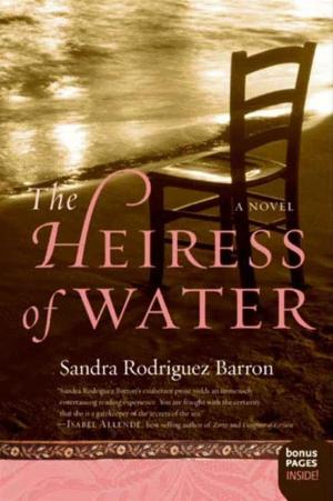 bigCover of the book The Heiress of Water by 