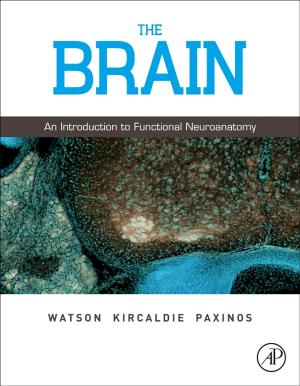 Cover of the book The Brain by Melvin I. Simon, Brian Crane, Alexandrine Crane