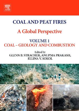 Cover of the book Coal and Peat Fires: A Global Perspective by Ronald W. Mehler