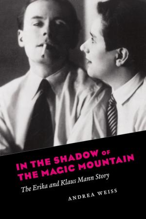 Cover of the book In the Shadow of the Magic Mountain by Adam J. Ramey, Jonathan D. Klingler, Gary E. Hollibaugh Jr.