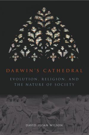 Cover of the book Darwin's Cathedral by Aristotle, Robert C. Bartlett
