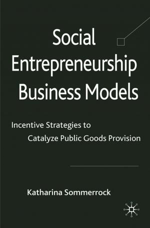 Cover of the book Social Entrepreneurship Business Models by S. Zhang, D. McGhee