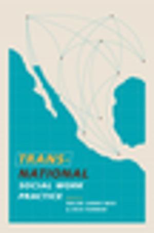 Cover of the book Transnational Social Work Practice by Joseph Meisel
