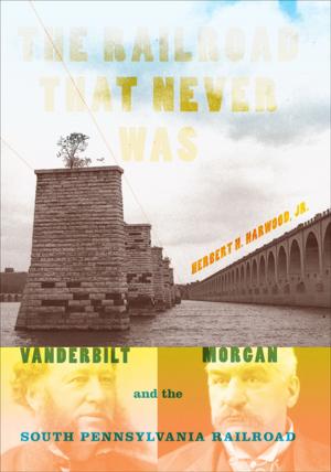 Book cover of The Railroad That Never Was