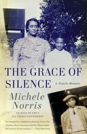 Cover of the book The Grace of Silence by Blanche McCary Boyd