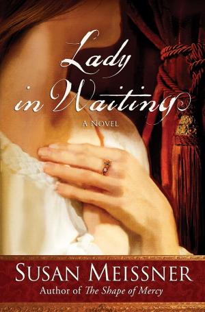 Cover of the book Lady in Waiting by Maggie Christensen