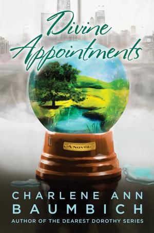 Book cover of Divine Appointments