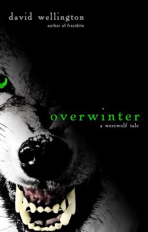 bigCover of the book Overwinter by 