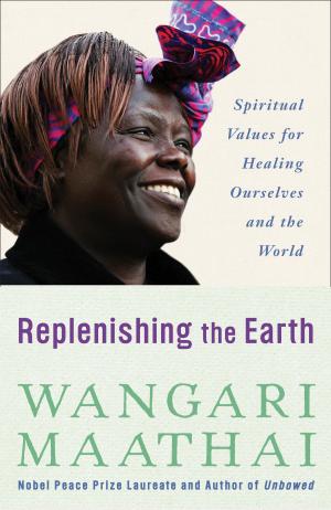 Cover of the book Replenishing the Earth by Mark Judge
