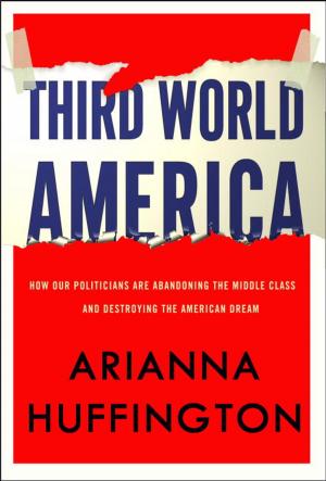 bigCover of the book Third World America by 