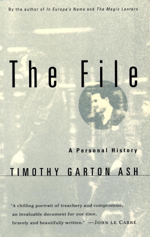 bigCover of the book The File by 