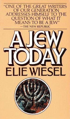 Cover of the book Jew Today by Art Garfunkel