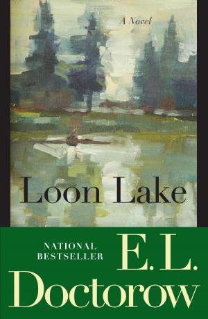 Cover of the book Loon Lake by Daniel Mark Epstein