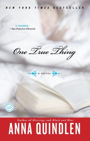 Cover of the book One True Thing by Judy Carter