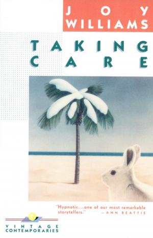 Cover of the book Taking Care by Jane Doerfer