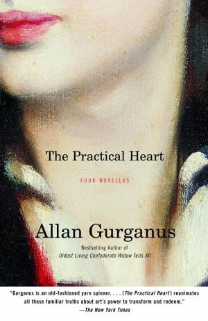 Cover of the book The Practical Heart by Alison Lurie