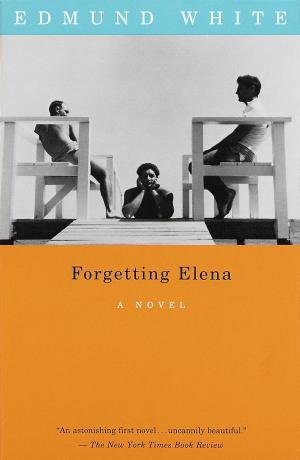 Book cover of Forgetting Elena