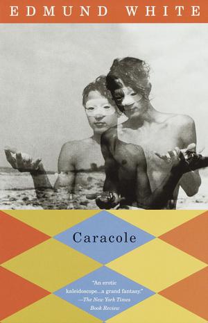 Cover of the book Caracole by Barry Unsworth