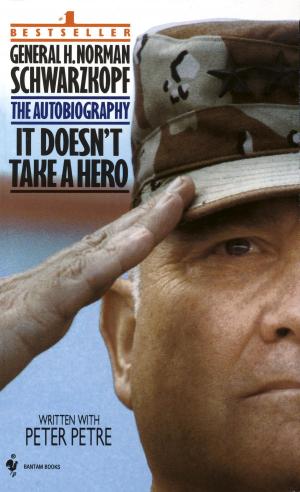 Cover of the book It Doesn't Take a Hero by Robert D. Kaplan