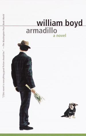 Book cover of Armadillo