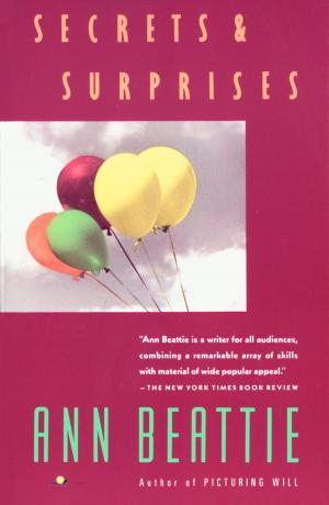 Cover of the book Secrets & Surprises by Jay Cantor