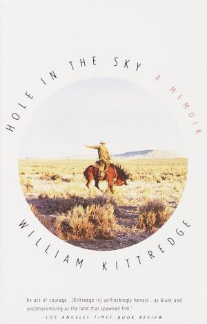 Cover of the book Hole in the Sky by William Alexander Percy