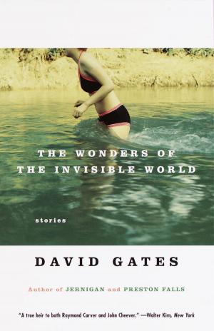 Book cover of The Wonders of the Invisible World