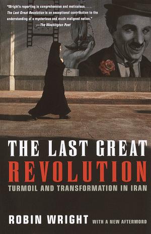 Cover of the book The Last Great Revolution by David Mamet