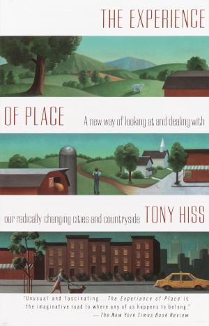 Cover of the book The Experience of Place by Jesse Ball