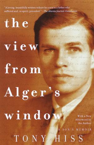 Cover of the book The View from Alger's Window by Peter Spiegelman