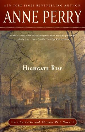 Cover of the book Highgate Rise by Angela Davis-Gardner