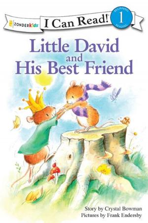 Cover of the book Little David and His Best Friend by Helen C. Haidle