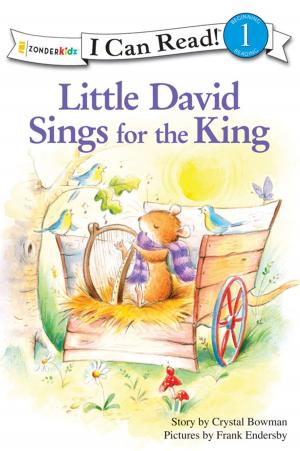 Cover of the book Little David Sings for the King by Jan Berenstain, Mike Berenstain